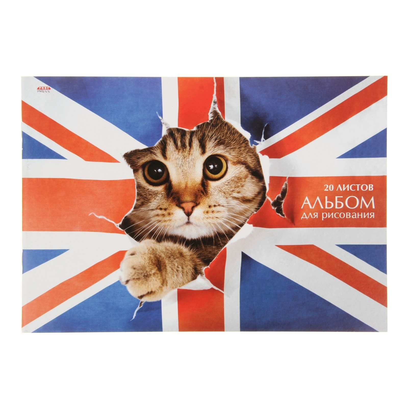 Кот с английского на русский. Флаг с котом. Котик с флагом. Английский кот. Британский кот с британским флагом.