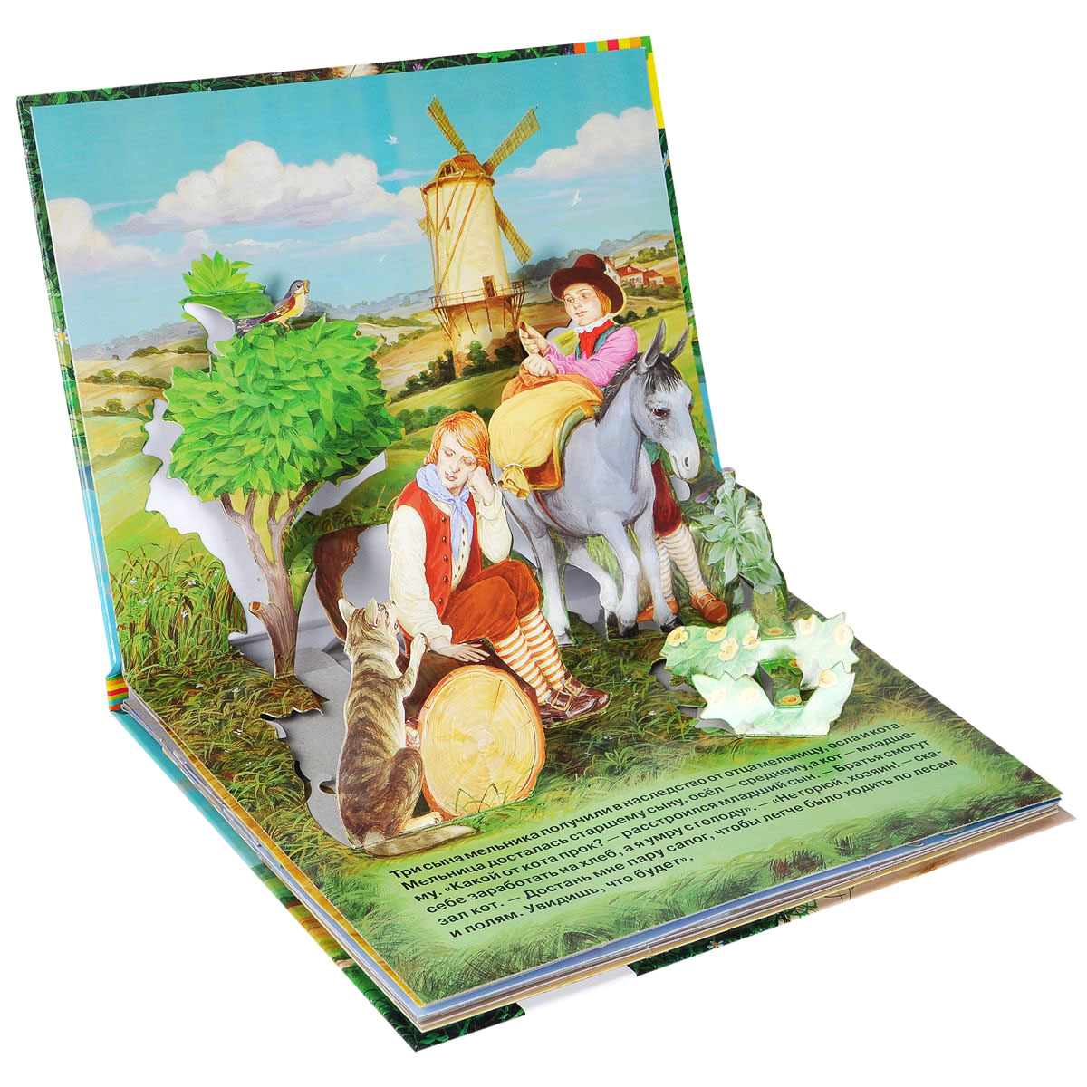 Красивая книга сказок. Объемные книжки для детей. Книжки с объемными иллюстрациями. Детские книжки.