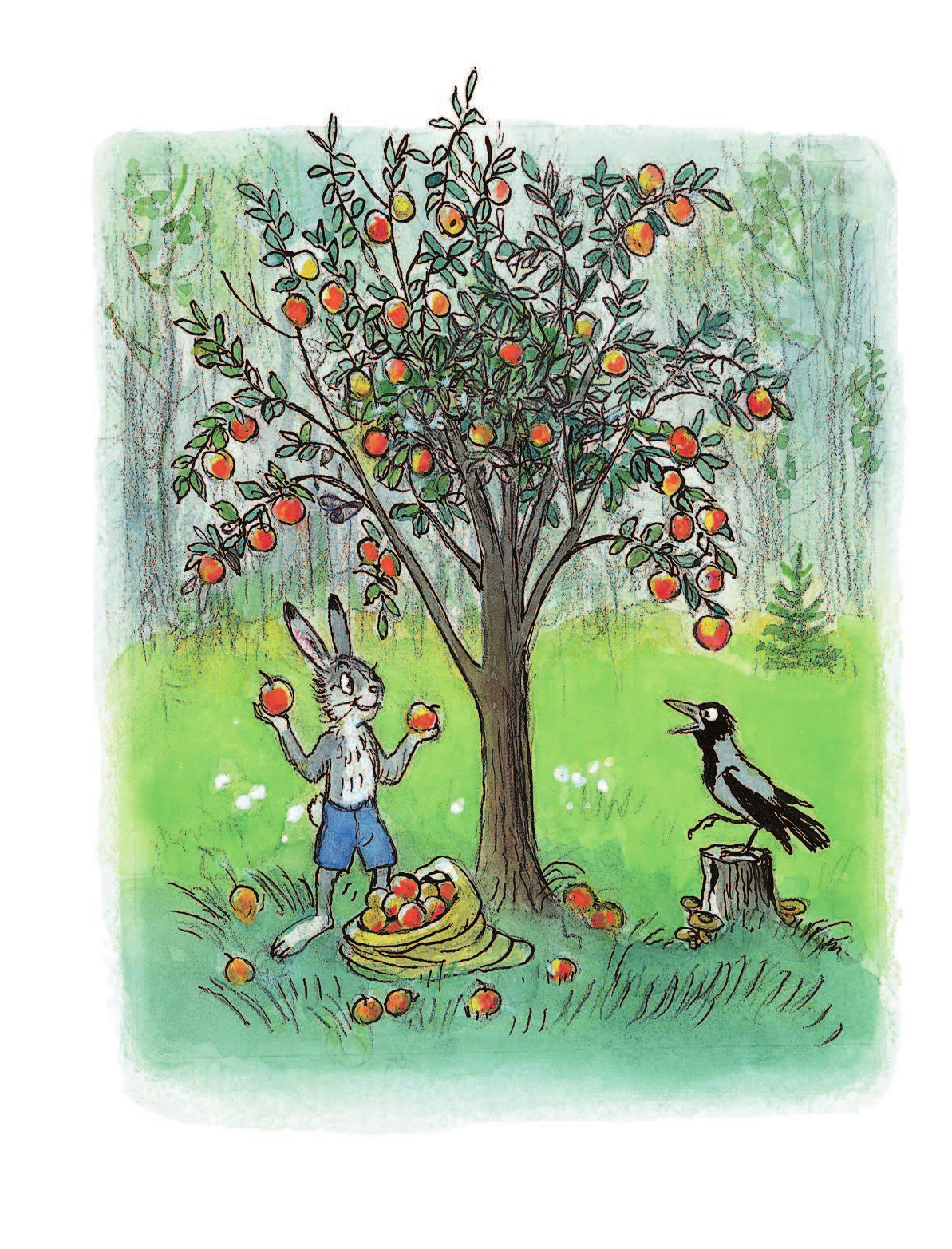 Сказка яблоко автор. Сказка Сутеева мешок яблок. Сутеев мешок яблок иллюстрации.