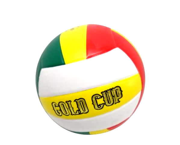 Волейбольный мяч Gold Cup. Мячи волейбольные которые стоят 400 рублей. Мяч волейбольный 22см ПВХ 501 купить. Сколько стоит волейбольный мяч Gold Cup Tianjin China.